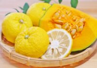 【BIメールマガジン Vol.600】冬至点は12月22日0:03