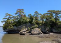 【BIメールマガジン Vol.607】ミネラルが栄養の中心？